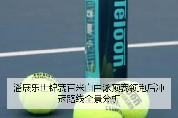 潘展乐世锦赛百米自由泳预赛领跑后冲冠路线全景分析
