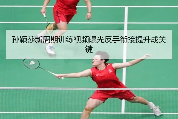 孙颖莎新周期训练视频曝光反手衔接提升成关键